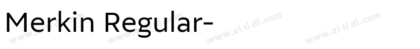 Merkin Regular字体转换